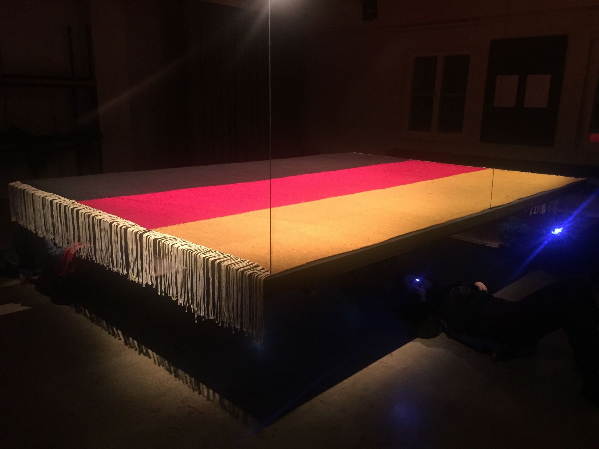 UNDER THE CARPET